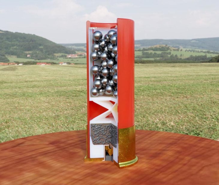 12 Gauge - 12" Cross Sectioned Shell